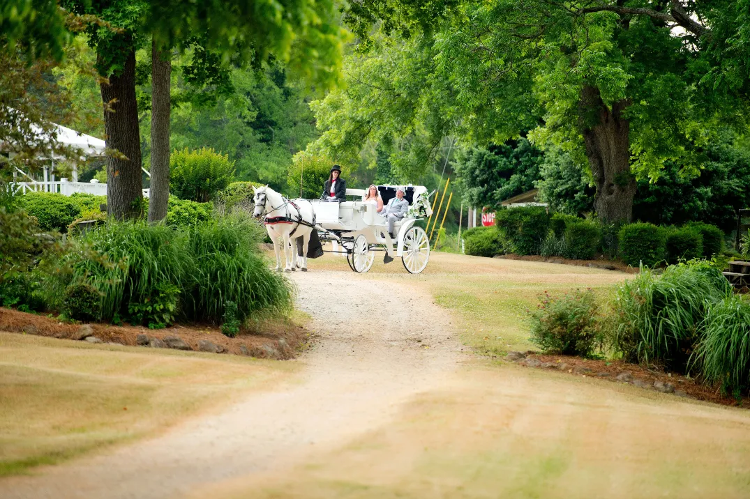 horse drawn carriage at wedding